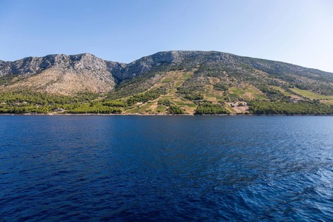 View from the sea of vineyards on the coast of the island of Hvar, near Ivan Dolac, Hvar, Dalmatia,