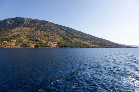 View from the sea of vineyards on the coast of the island of Hvar, near Ivan Dolac, Hvar, Dalmatia,