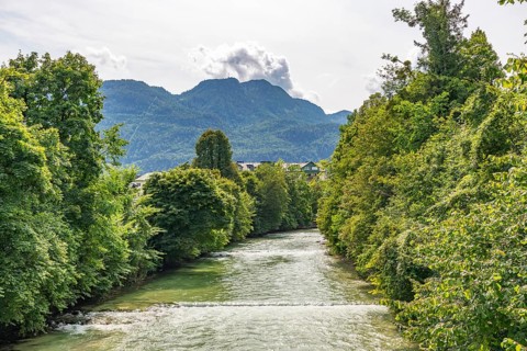 The river Enns between green trees with mountains in the background, Bad Ischl, Upper Austria,
