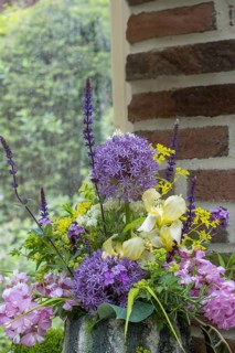Bouquet with allium, iris and robinia, North Rhine-Westphalia, Germany