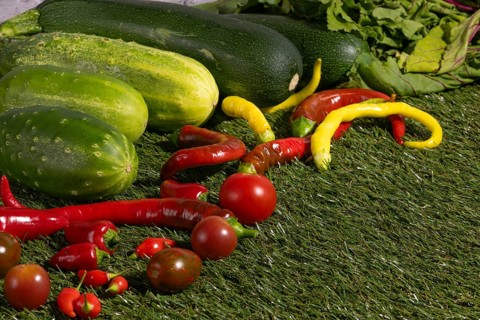 Vegetable mix of cucumbers, tomatoes, peppers and courgettes on green grass