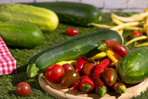 Fresh courgettes, tomatoes, cucumbers and peppers on a wooden board on grass