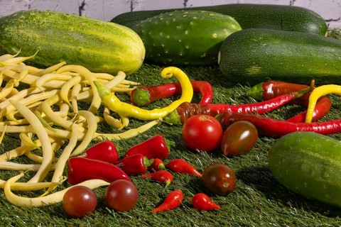 Vegetable mix of yellow beans, cucumbers, tomatoes, peppers and courgettes on green grass