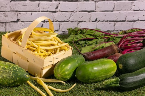 Vegetable mix of yellow beans, beetroot, cucumber and courgette on green grass
