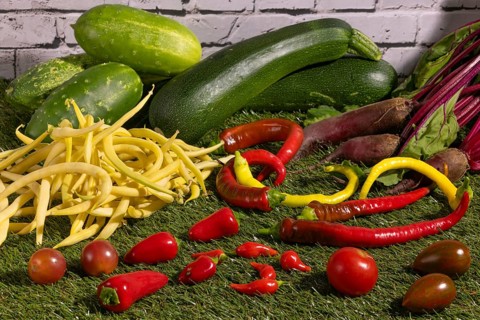 Vegetable mix of yellow beans, beetroot, cucumber, tomatoes, peppers and courgettes on green grass