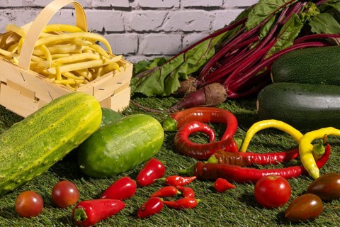 Vegetable mix of yellow beans, beetroot, cucumber, tomatoes, peppers and courgettes on green grass