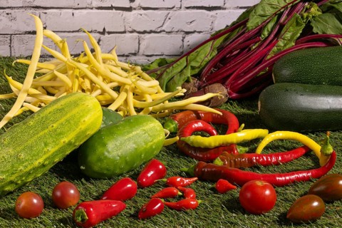 Vegetable mix of yellow beans, beetroot, cucumber, tomatoes, peppers and courgettes on green grass