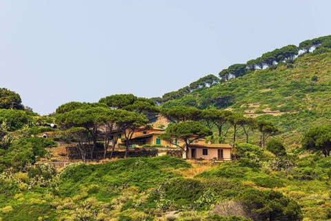 Holiday homes at Punta della Ciarpa, Elba Island, Tuscan Archipelago National Park, Tuscany, Italy
