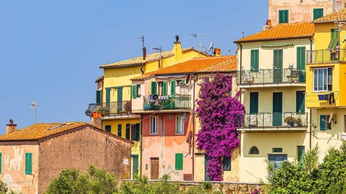 Pastel-coloured house front with purple flowering bougainvillea bush, Capoliveri, Elba Island,