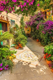 Courtyard decorated with flower pots, Capoliveri, Elba Island, Tuscan Archipelago National Park,