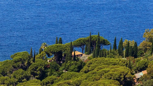 Holiday home directly by the sea, surrounded by umbrella acacias and cypresses, below Capoliveri,