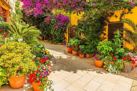 Courtyard decorated with flower pots, Capoliveri, Elba Island, Tuscan Archipelago National Park,