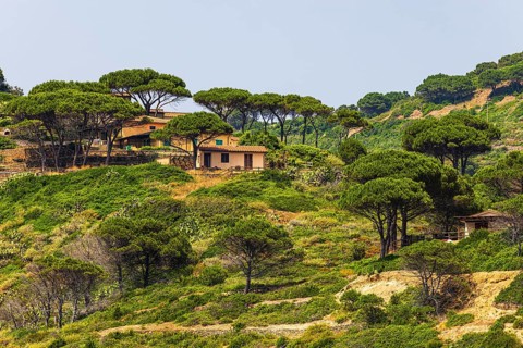 Holiday homes at Punta della Ciarpa, Elba Island, Tuscan Archipelago National Park, Tuscany, Italy
