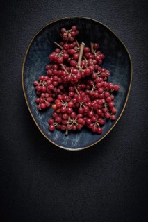 Shtoshi berry, Shepherd's pie, a hybrid of sea buckthorn and barberry, top view, no people