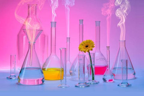 Variety of partly filled laboratory glassware including a flower head and some smoke in colorful