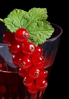 Redcurrant berries as decoration on a cocktail glass in front of black back