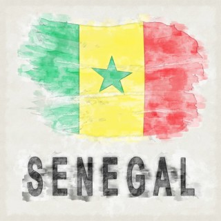 Senegal National Colors with Country Name Background