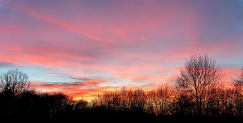 A colorful sundown including some clouds behind some leafless treetop silhouettes