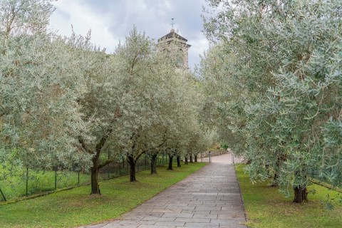 Impression around the Piona Priory or Piona Abbey, a religious complex on the Lecco bank of Lake