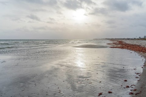 Scenery around Olpenitz, a part of the town Kappeln in Schleswig-Holstein, Germany, at the mouth of