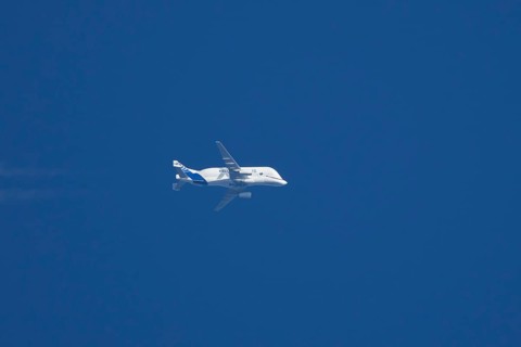 Airbus A300-600ST Super Transporter or Beluga aircraft in flight in a blue sky with vapour trails