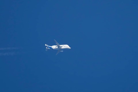 Airbus A300-600ST Super Transporter or Beluga aircraft in flight in a blue sky with vapour trails