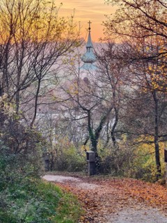 Leaf-covered path in autumn leads to a church tower at sunset Pilgrimage church Oberleis