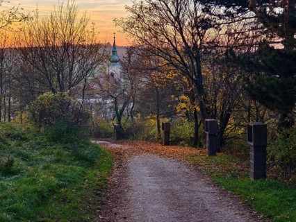 Cobbled path lined with trees leading to a church at sunset Pilgrimage church Oberleis Weinviertel