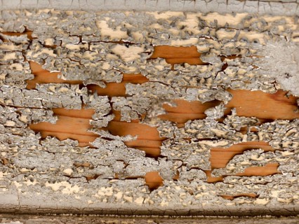 Flaking grey layer of paint on weathered wood Lower Austria Austria
