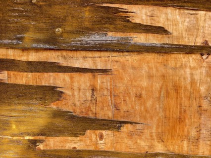 Weathered wooden surface with peeling paint Lower Austria Austria
