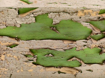 Weathered wood with peeling green colour Lower Austria Austria