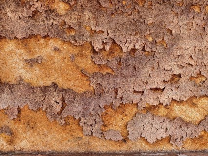 Brown-rusty flaking on a damaged metal surface Lower Austria Austria