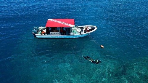 Diver scuba diving swims dives next to diving ship anchored at reef, Pacific Ocean, Yap Island, Yap