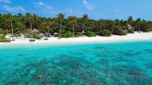 Aerial view Bird's eye view of lagoon and white beach Sandsztanf with coconut palms (Cocos