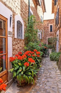 Picturesque alley with beautifully blooming flowers by the wall at an entrance to a residential
