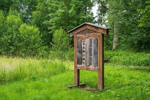 Insect hotel in a meadow, Rheda-Wiedenbrück, Westphalia, North Rhine-Westphalia, Germany