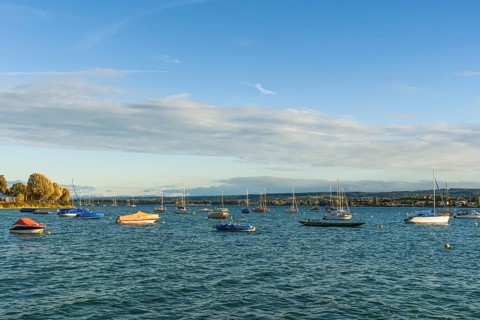Boats anchored in front of the lakeshore in Allensbach, Lake Constance, Baden-Württemberg, Germany