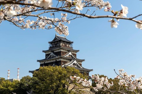 Hiroshima Castle, also known as Carp Castle, against a blue sky with cherry blossoms, sakura, and