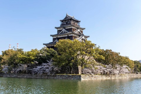 Hiroshima Castle, also known as Carp Castle, against a blue sky with cherry blossoms, sakura, and