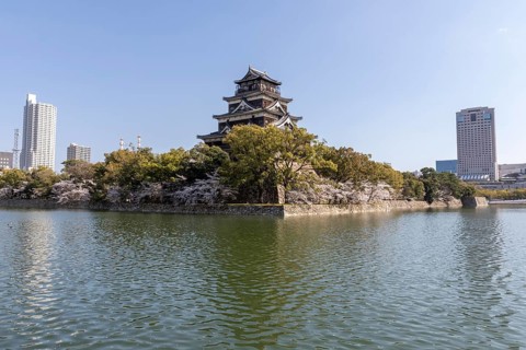 Hiroshima Castle, also known as Carp Castle, against a blue sky with cherry blossoms, sakura, and