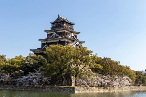 Hiroshima Castle, also known as Carp Castle, against a blue sky with cherry blossoms, sakura, and