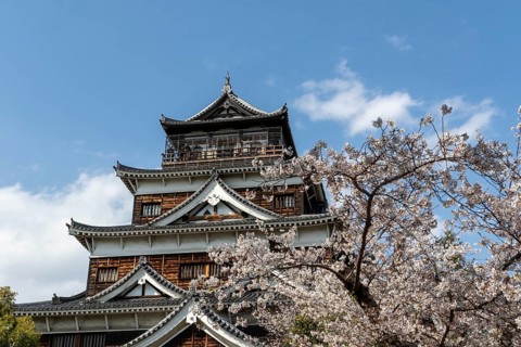 Hiroshima Castle, also known as Carp Castle, in front of a blue sky with cherry blossoms, Sakura,