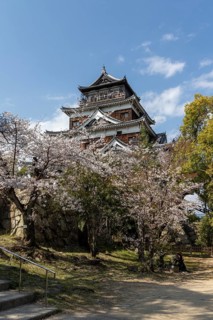 Hiroshima Castle, also known as Carp Castle, in front of a blue sky with cherry blossoms, Sakura,