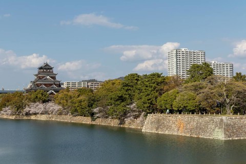 Hiroshima Castle, also known as Carp Castle, against a blue sky with cherry blossoms, sakura, and