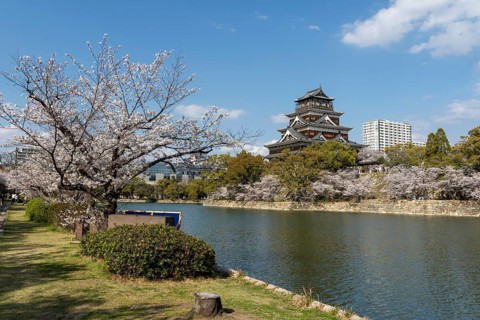 Hiroshima Castle, also known as Carp Castle, against a blue sky with cherry blossoms, sakura, and