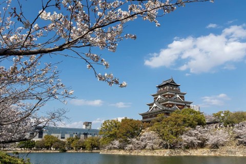 Hiroshima Castle, also known as Carp Castle, against a blue sky with cherry blossoms, sakura, and