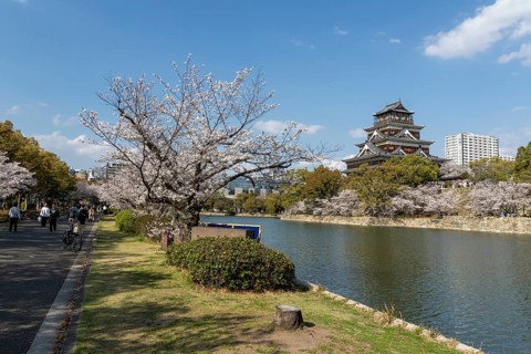 Hiroshima Castle, also known as Carp Castle, against a blue sky with cherry blossoms, sakura, and