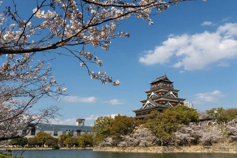 Hiroshima Castle, also known as Carp Castle, against a blue sky with cherry blossoms, sakura, and