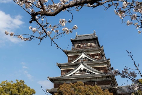 Hiroshima Castle, also known as Carp Castle, in front of a blue sky with cherry blossoms, Sakura,