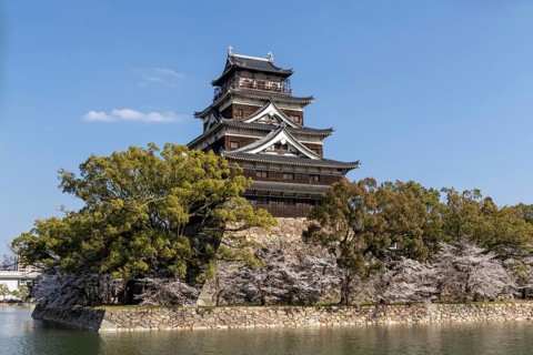 Hiroshima Castle, also known as Carp Castle, against a blue sky with cherry blossoms, sakura, and